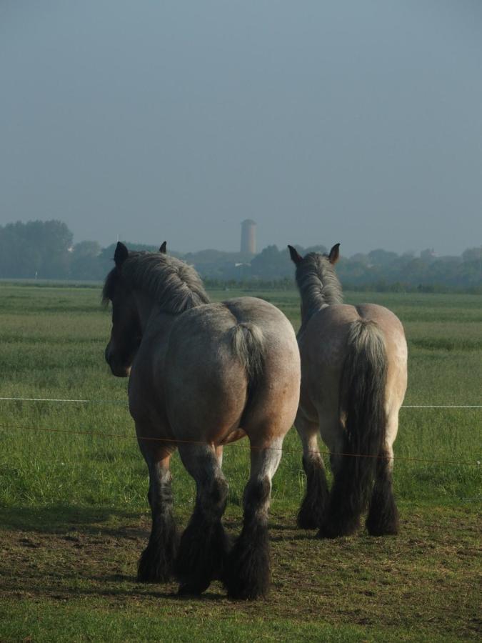 Villa Klinket Zoutelande Esterno foto